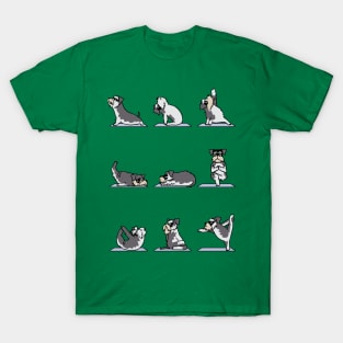 Miniature Schnauzer yoga T-Shirt